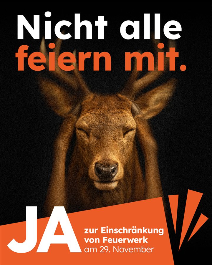 Beispiel: statisches Visual