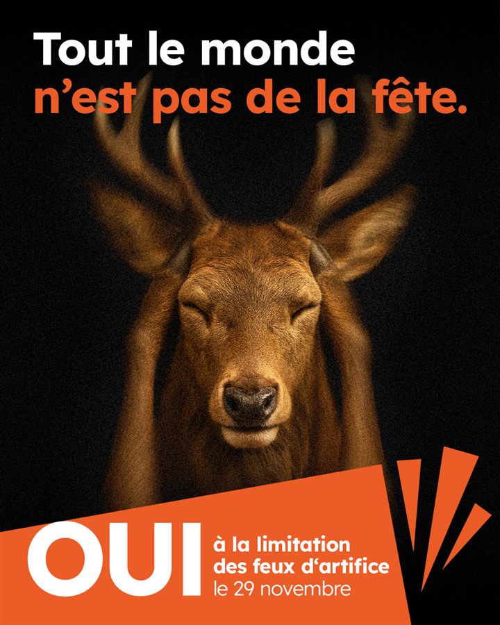Exemple : visuel statique