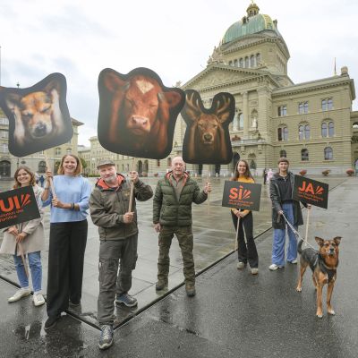 Feuerwerksinitiative kommt vors Volk