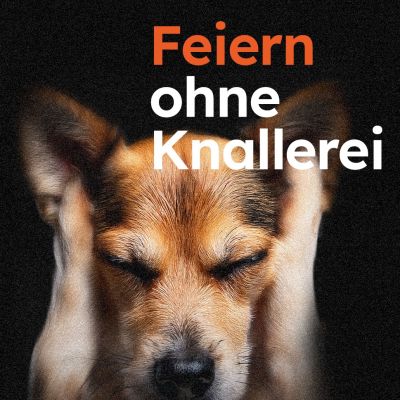 Statement zu Feuerwerksverboten infolge Trockenheit