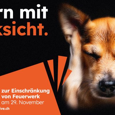 Feuerwerksinitiative startet schweizweite Abstimmungskampagne