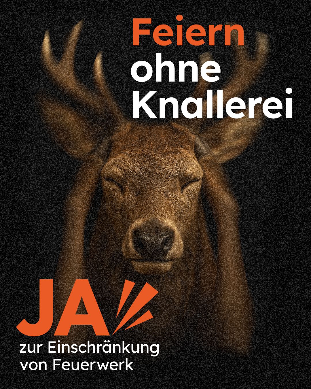 Feiern ohne Knallerei