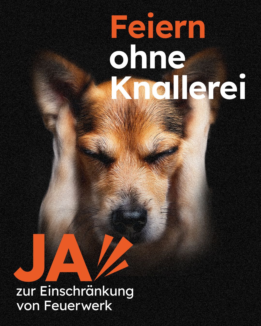 Feiern ohne Knallerei